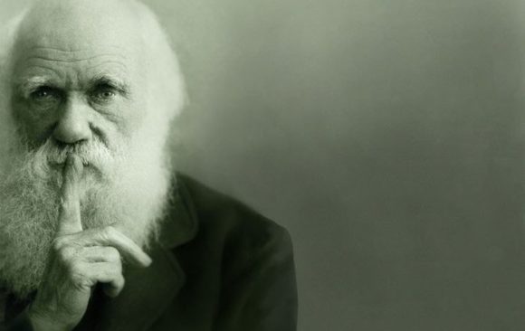 Apiculture Darwinienne Apiculture Darwinienne