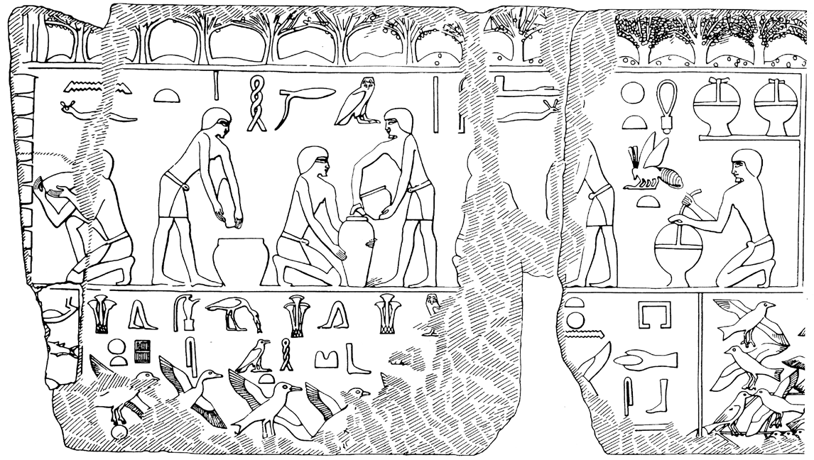 Ruche Egypte