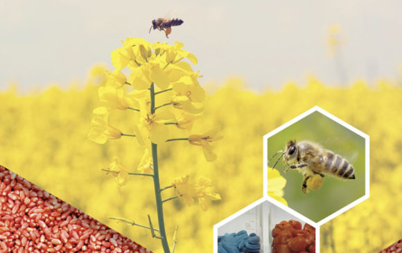 Abeille, Agriculture et Néonicotinoïdes Abeille, Agriculture et Néonicotinoïdes