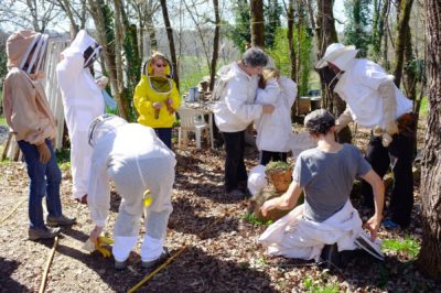 1001 Abeilles Rucher