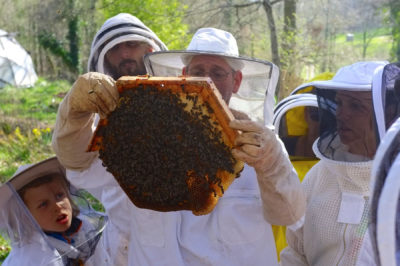 1001 Abeilles Rucher